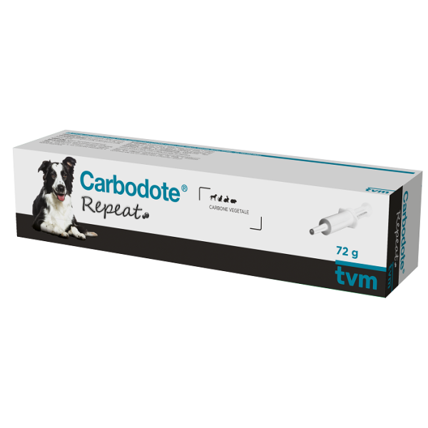 CARBODOTE REPEAT THERAPET PASTA APPETIBILE IN SIRINGA 72 G