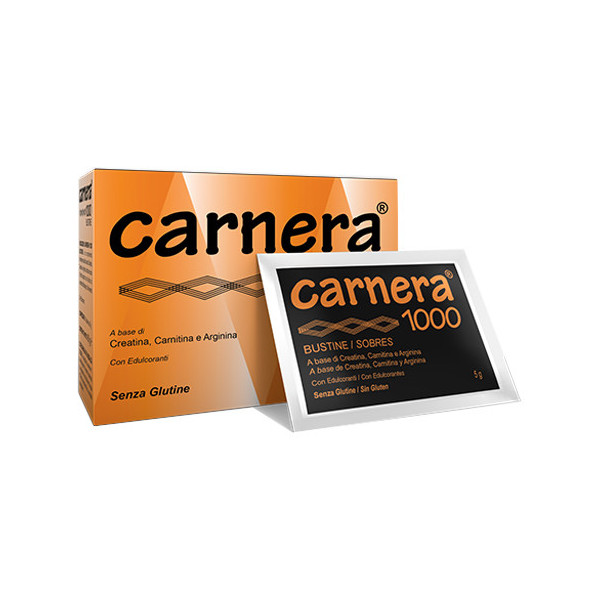 CARNERA 1000 18 BUSTINE