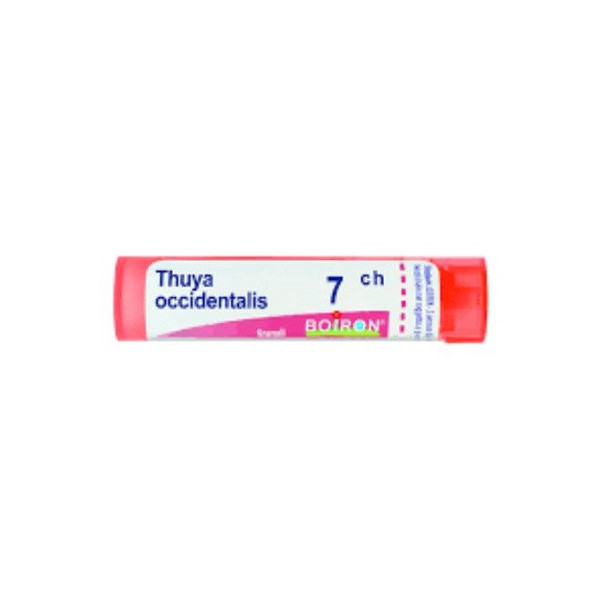 THUYA OCCIDENT 7CH GLOBULI 1G