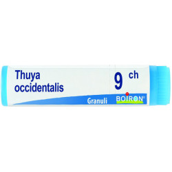 THUYA OCCIDENTALIS 9 CH GLOBULI 1G