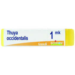 THUYA OCCIDENTALIS MK GLOBULI 1G