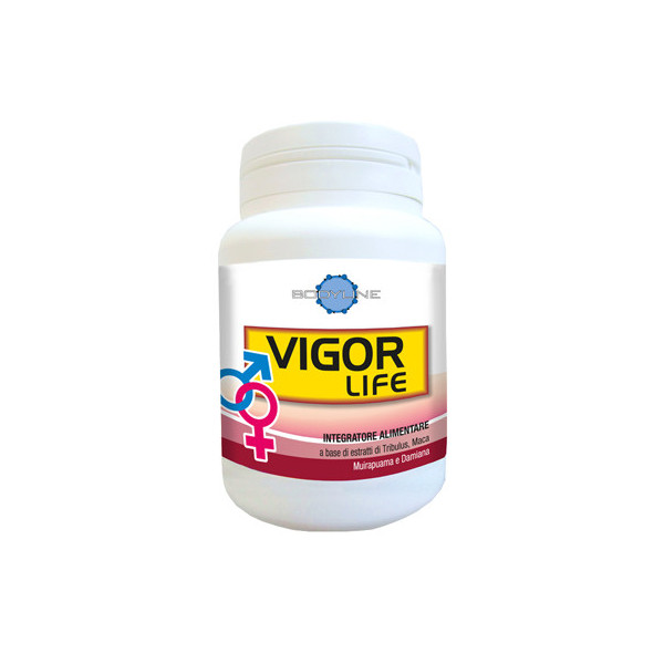 VIGOR LIFE 40 CAPSULE