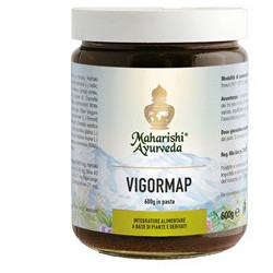 VIGORMAP PASTA 600 G