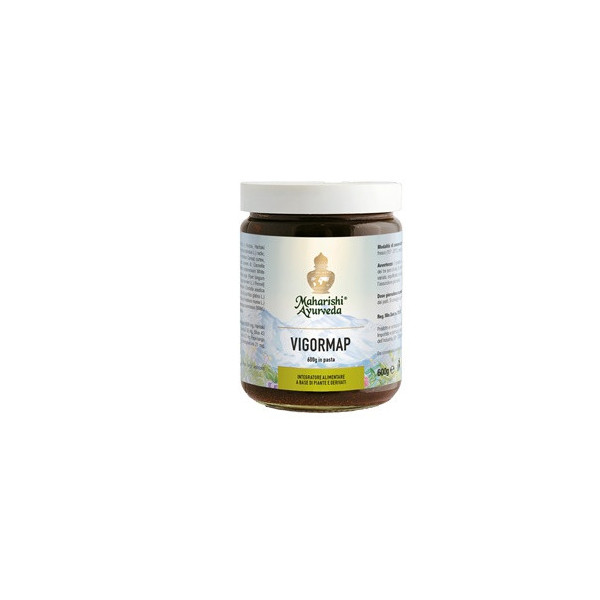VIGORMAP PASTA 600 G