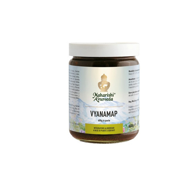 VYANAMAP PASTA 600 G