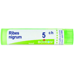 RIBES NIGRUM 5CH GRANULI 4G