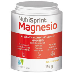 NUTRISPRINT MAGNESIO POLVERE 156 G