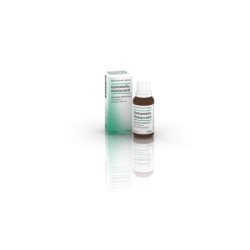 HAMAMELIS HOMACCORD*OS GTT30ML