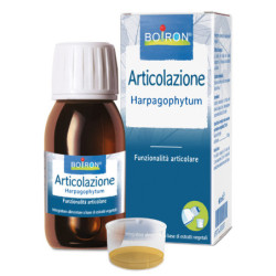 HARPAGOPHYTUM BOIRON ESTRATTO IDROALCOLICO 60 ML