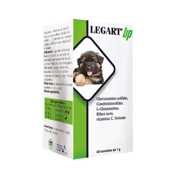 LEGART UP 60 COMPRESSE DA 1 G