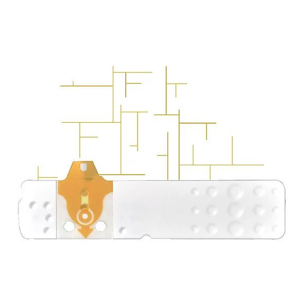 STRISCE MISURAZIONE GLICEMIA LINEA D ORO 50 PEZZI