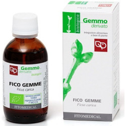 FICO MACERATO GLICERICO 50 ML BIO