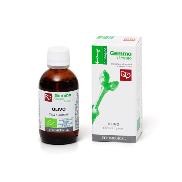 OLIVO MACERATO GLICERICO 50 ML BIO