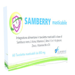 SAMBERRY MASTICABILE 60 TAVOLETTE
