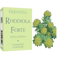 RHODIOLA FORTE 24 CAPSULE