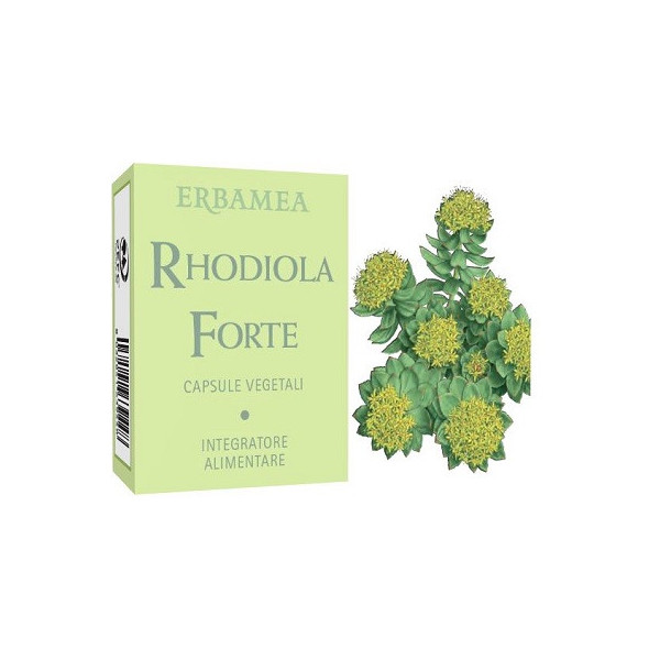 RHODIOLA FORTE 24 CAPSULE