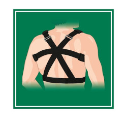 SOSTEGNO DORSO GIBAUD ORTHO 02