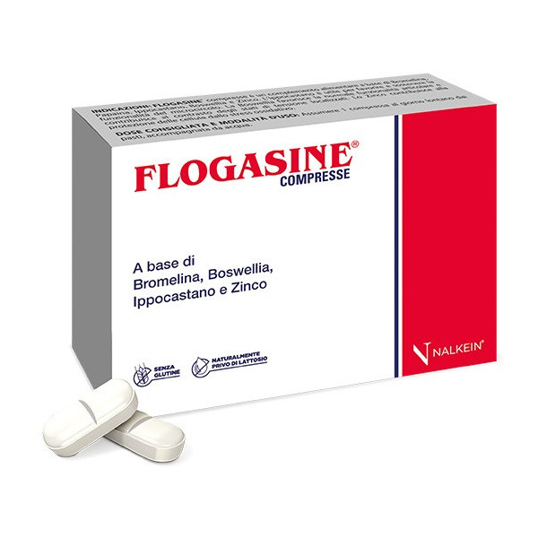FLOGASINE 20 COMPRESSE