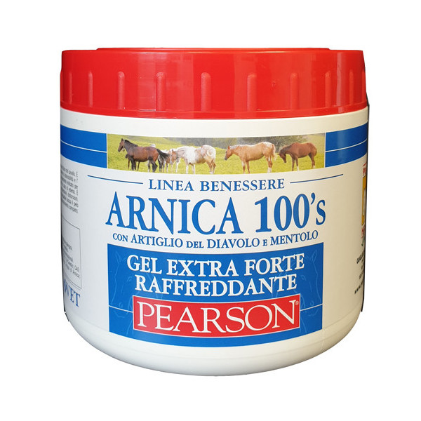 ARNICA 100'S GEL EXTRA FORTE RAFFREDDANTE 500 ML