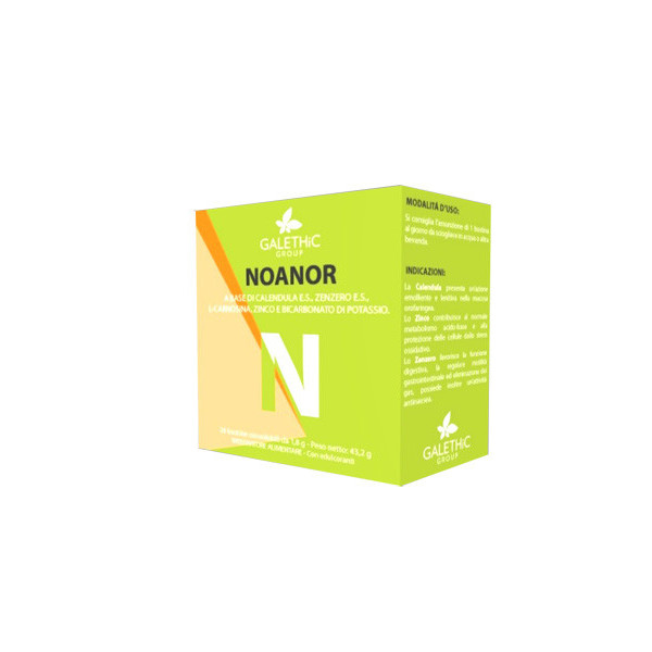NOANOR 24 BUSTINE