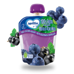MELLIN POUCH MIRTILLO/RIBES 90 G