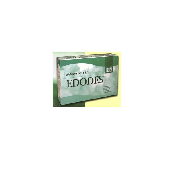 EDODES 16 BUSTINE