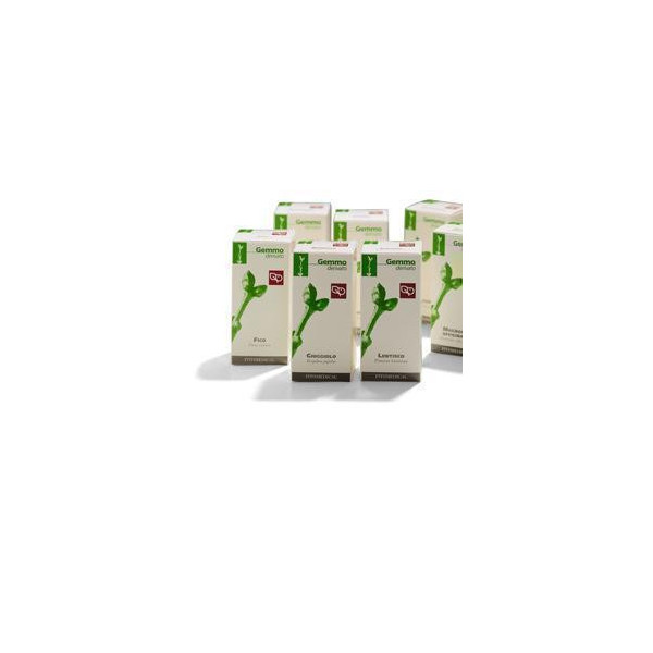 RIBES NERO MACERATO GLICERICO 50 ML