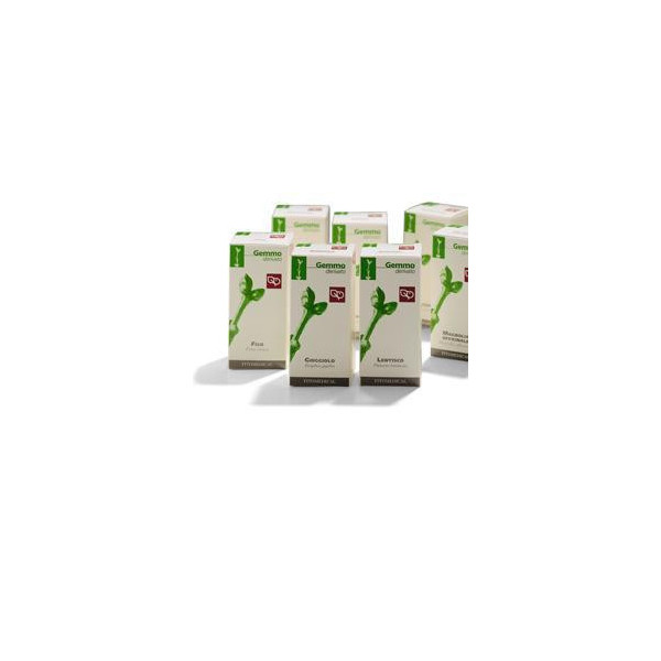 AGNOCASTO MACERATO GLICERICO 200 ML