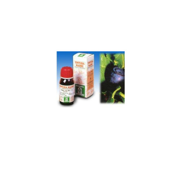 MIRTILLO 31 50ML TM