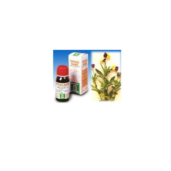 VIOLA DEL PENSIERO 32 50ML TM
