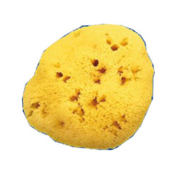 SPUGNA NATURALE FORI L 12/13CM 9