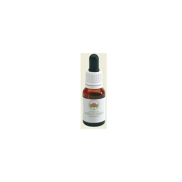 FIVE CORNERS AUSTRALIAN 15 ML GT