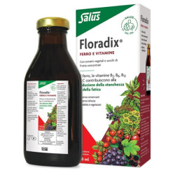 FLORADIX FERRO E VITAMINE 250 ML