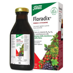 FLORADIX FERRO E VITAMINE 500 ML