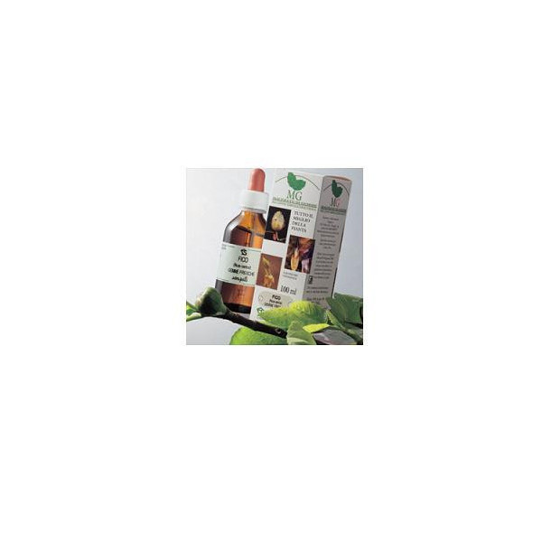FRASSINO MACERATO GLICERICO 100 ML