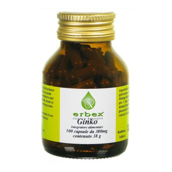 GINKGO BILOBA 100 CAPSULE 380 MG