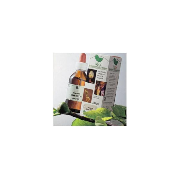 BETULLA MACERATO GLICERICO 100 ML