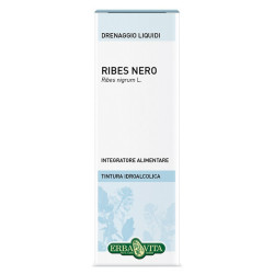 RIBES NERO FOGLIE SOLUZIONE IDROALCOLICA 50 ML EBV