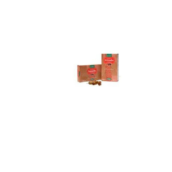 SCHISANDRA 20 AMPOLLE BEVIBILI DA 15 ML SCHISANDRA 20 AMPOLLE BEVIBILI DA 15 ML