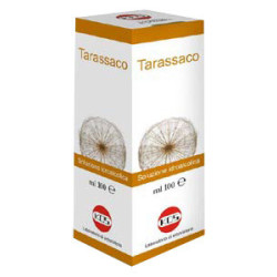 TARASSACO SOLUZIONE IDROALCOLICA PIANTA FRESCA 100 G