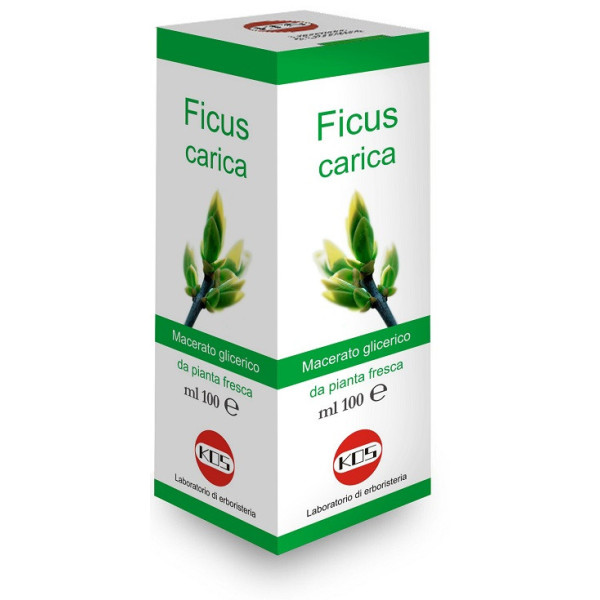 FICUS CARICA MACERATO GLICERICO 100 ML