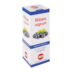 RIBES NIGRUM MACERATO GLICERICO 100 ML GOCCE