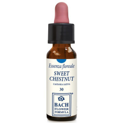 SWEET CHESTNUT ORIGINAL 10 ML