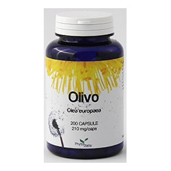 OLIVO 60 CAPSULE