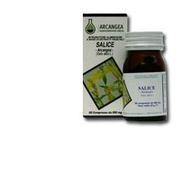 SALICE 60 CAPSULE 500 MG