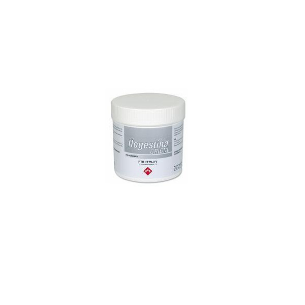 FLOGESTINA GRIGIA PASTA 1 KG