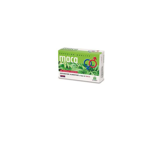 MACA 60 CAPSULE