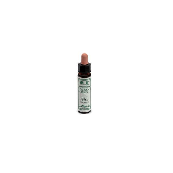AINSWORTHS PINE 10ML