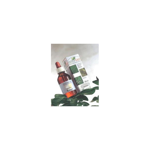 ERISIMO TINTURA MADRE 100 ML