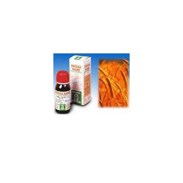 AVENA SATIVA 3 50ML TM